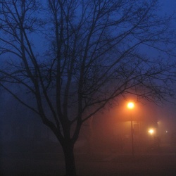 A foggy morning.