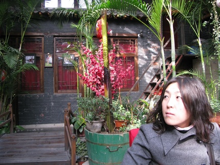 Sumiko at Red Lantern Hostel