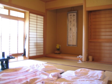The Ryokan (Traditional Japanese Inn) we stayed at was quite nice, though a bit pricey.